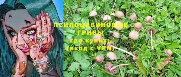 кокаин Алексеевка