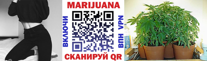 Канабис OG Kush  как найти закладки  Мостовской 